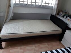 Woodlands Circle (Woodlands), HDB HUDC #339127241